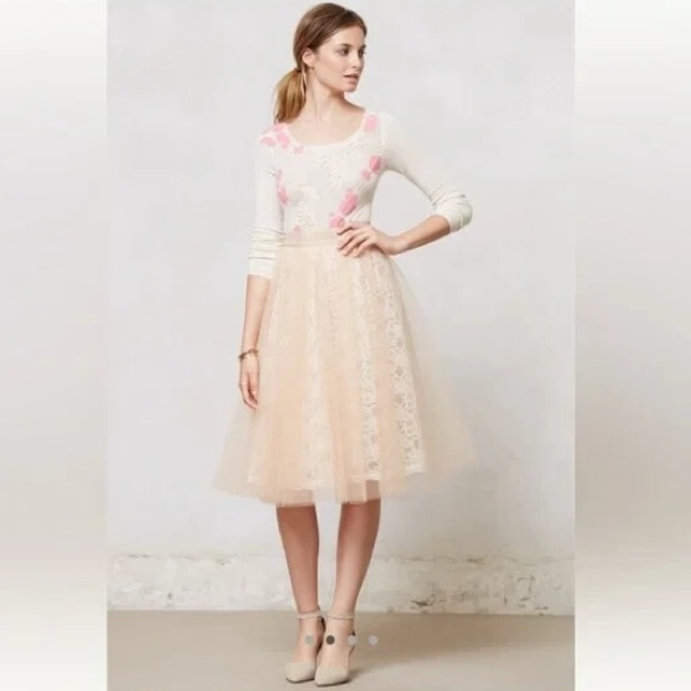 NWT Anthropologie Alexandra Grecco Tulle Midi Skirt